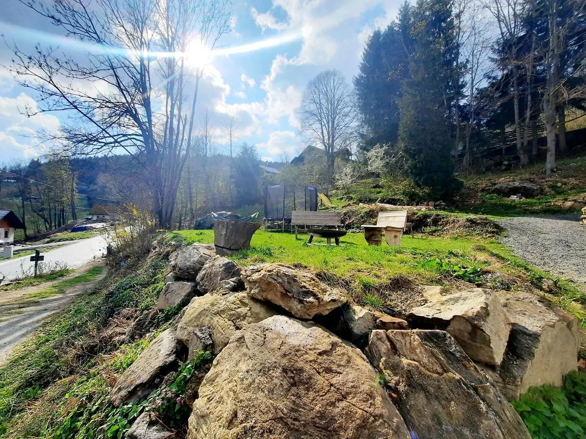Traumhafte Ferienwohnung - Naturgenuss Pur In Der Ferienregion Sonnenwald Bayerischer Wald Zenting
