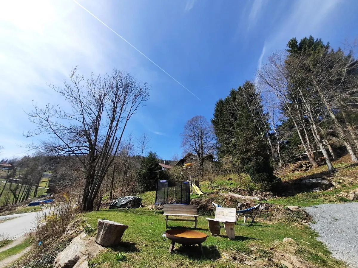 Apartment Traumhafte Ferienwohnung - Naturgenuss Pur In Der Ferienregion Sonnenwald Bayerischer Wald Zenting