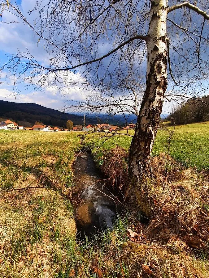 Traumhafte Ferienwohnung - Naturgenuss Pur In Der Ferienregion Sonnenwald Bayerischer Wald Zenting Apartment