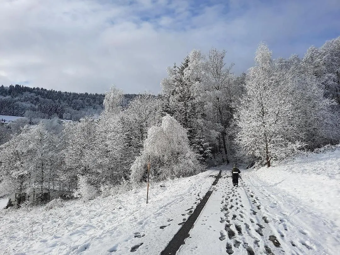 Traumhafte Ferienwohnung - Naturgenuss Pur In Der Ferienregion Sonnenwald Bayerischer Wald Zenting Apartment